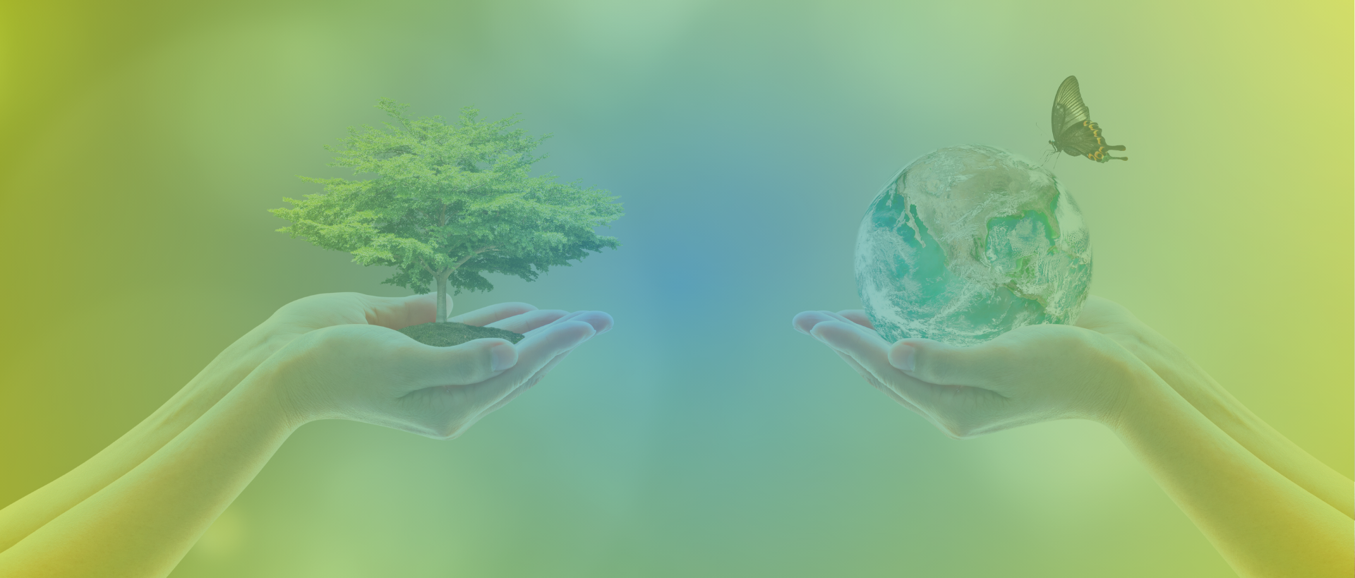 Webinaire ARIAs Grand Est « Convention des Entreprises pour le Climat »